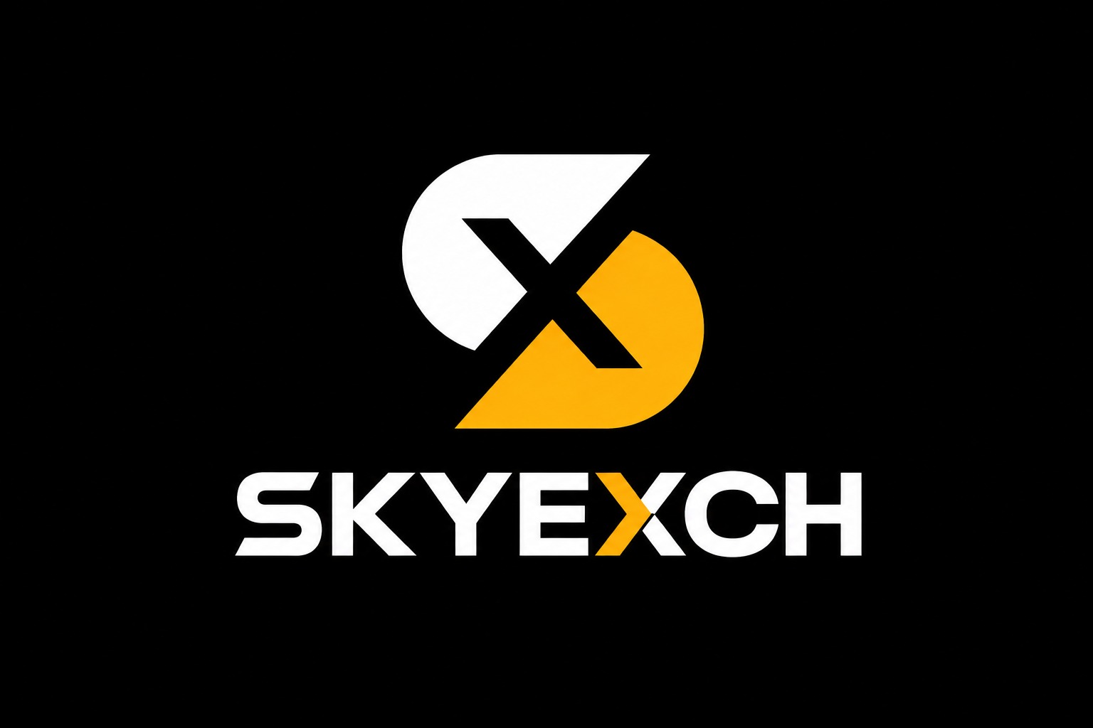 SkyExch Logo